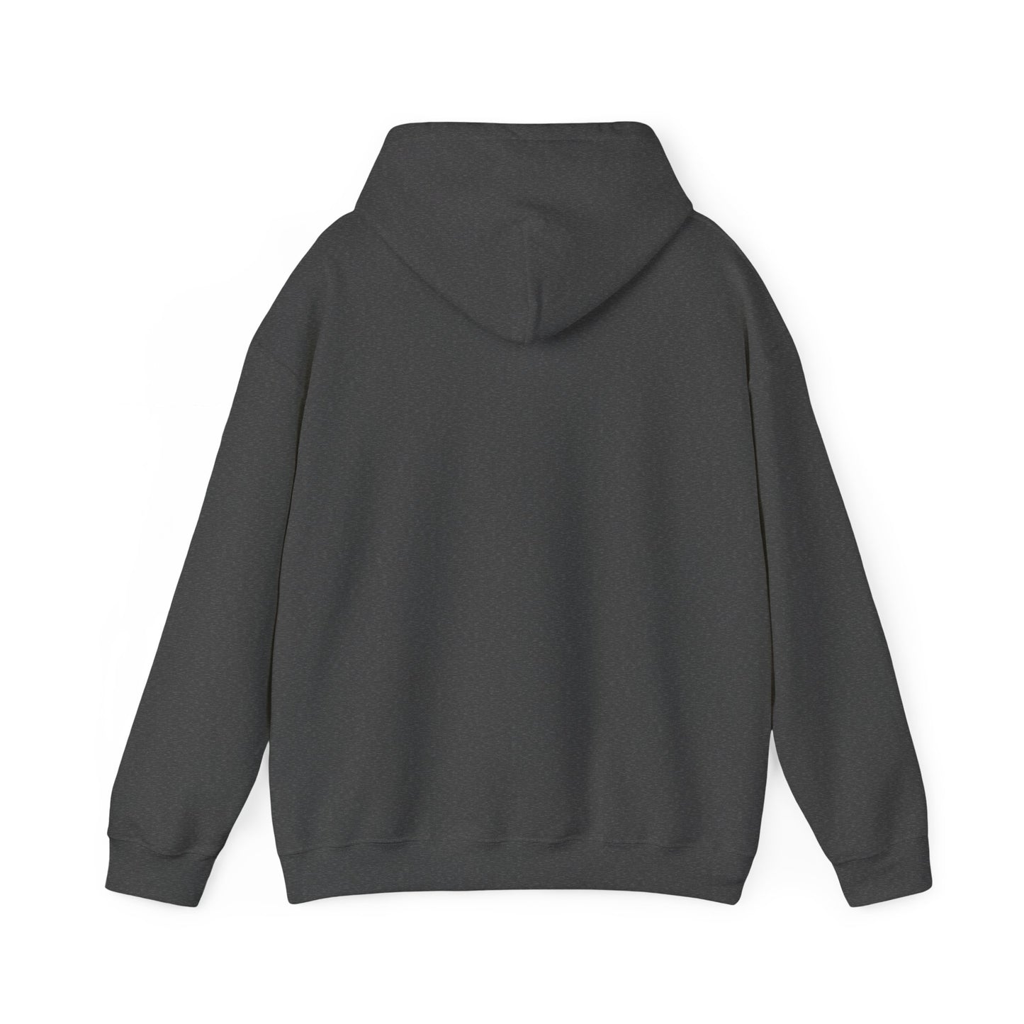 Unisex Hooded Sweatshirt - When Nothing Goes Right Go Left - AFFORDABLE MARKET