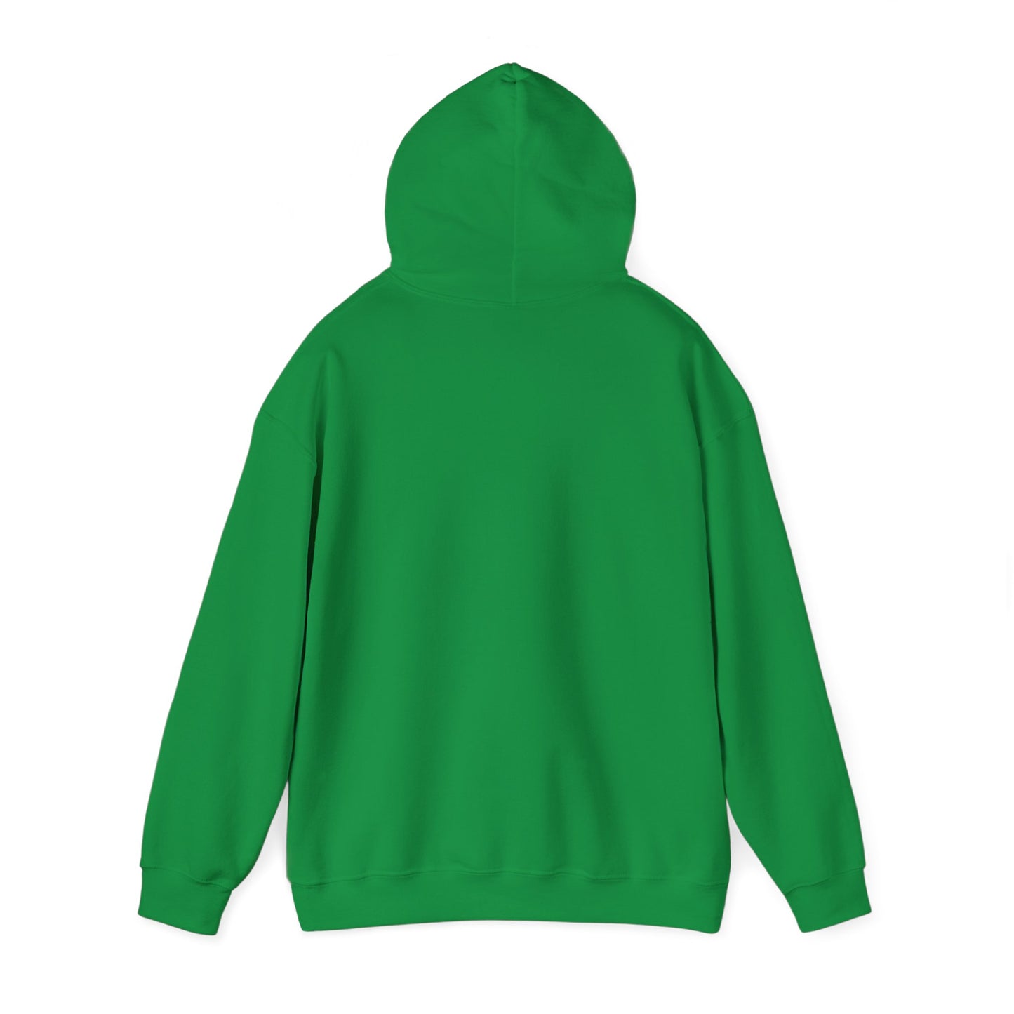 Unisex Hooded Sweatshirt - When Nothing Goes Right Go Left - AFFORDABLE MARKET