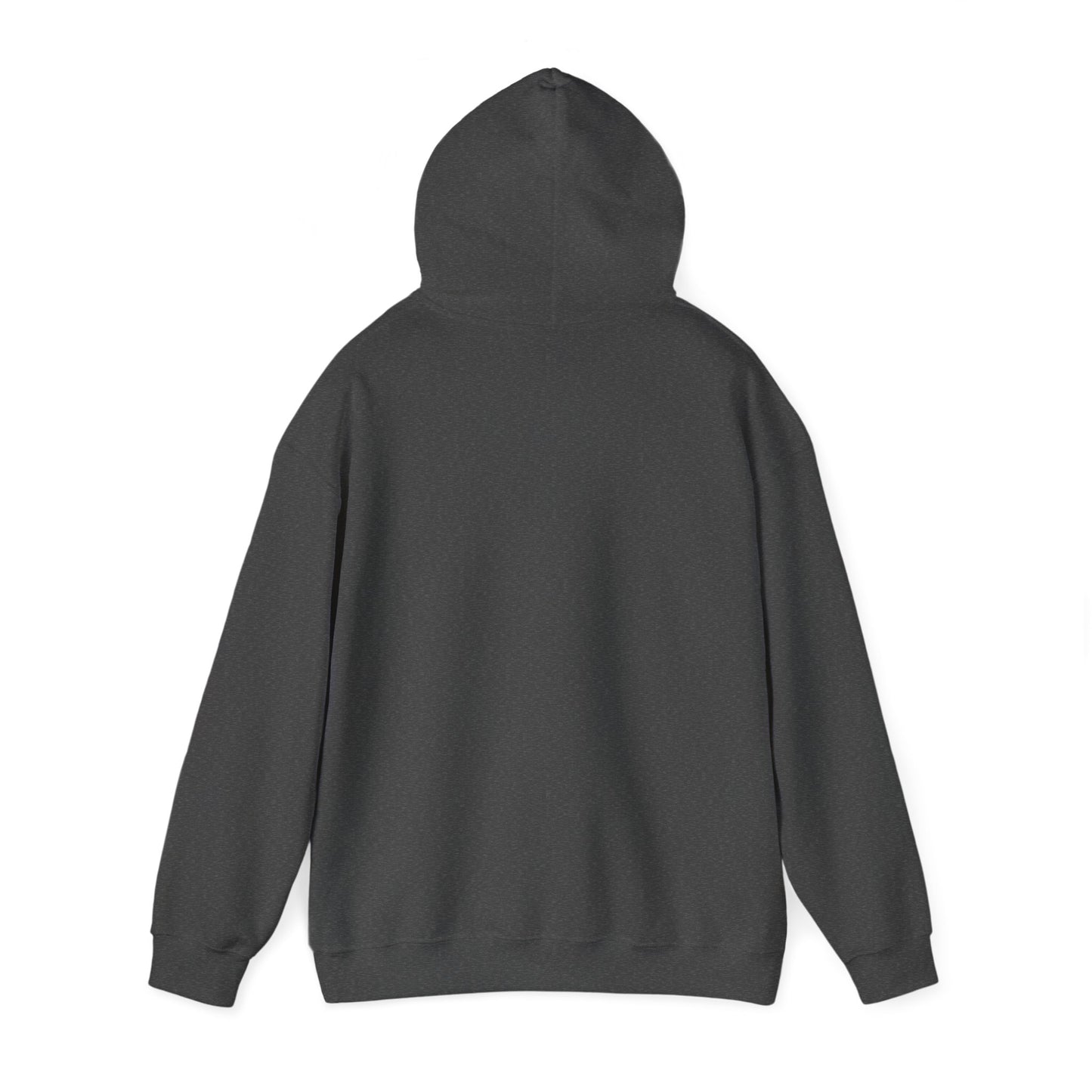 Unisex Hooded Sweatshirt - When Nothing Goes Right Go Left - AFFORDABLE MARKET