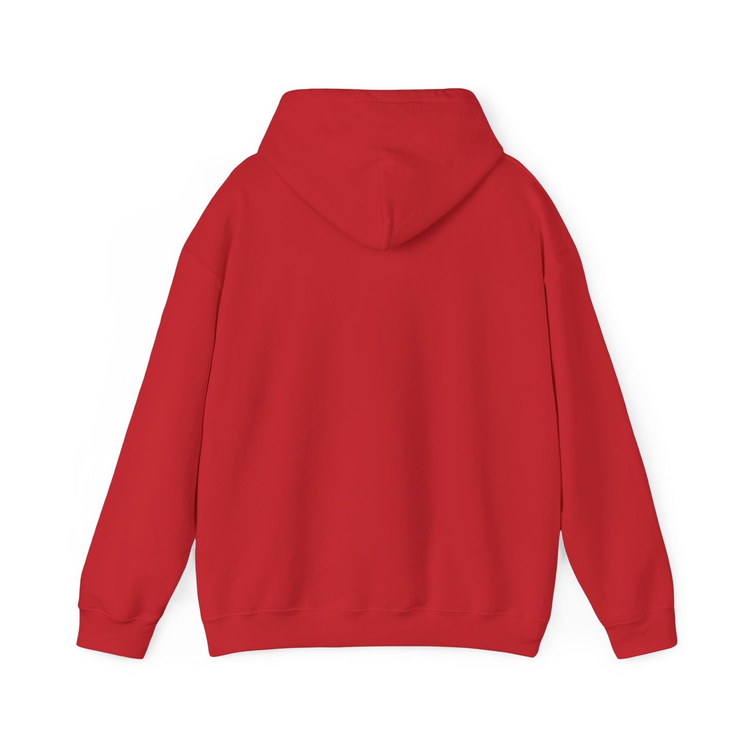 Unisex Hooded Sweatshirt - When Nothing Goes Right Go Left - AFFORDABLE MARKET