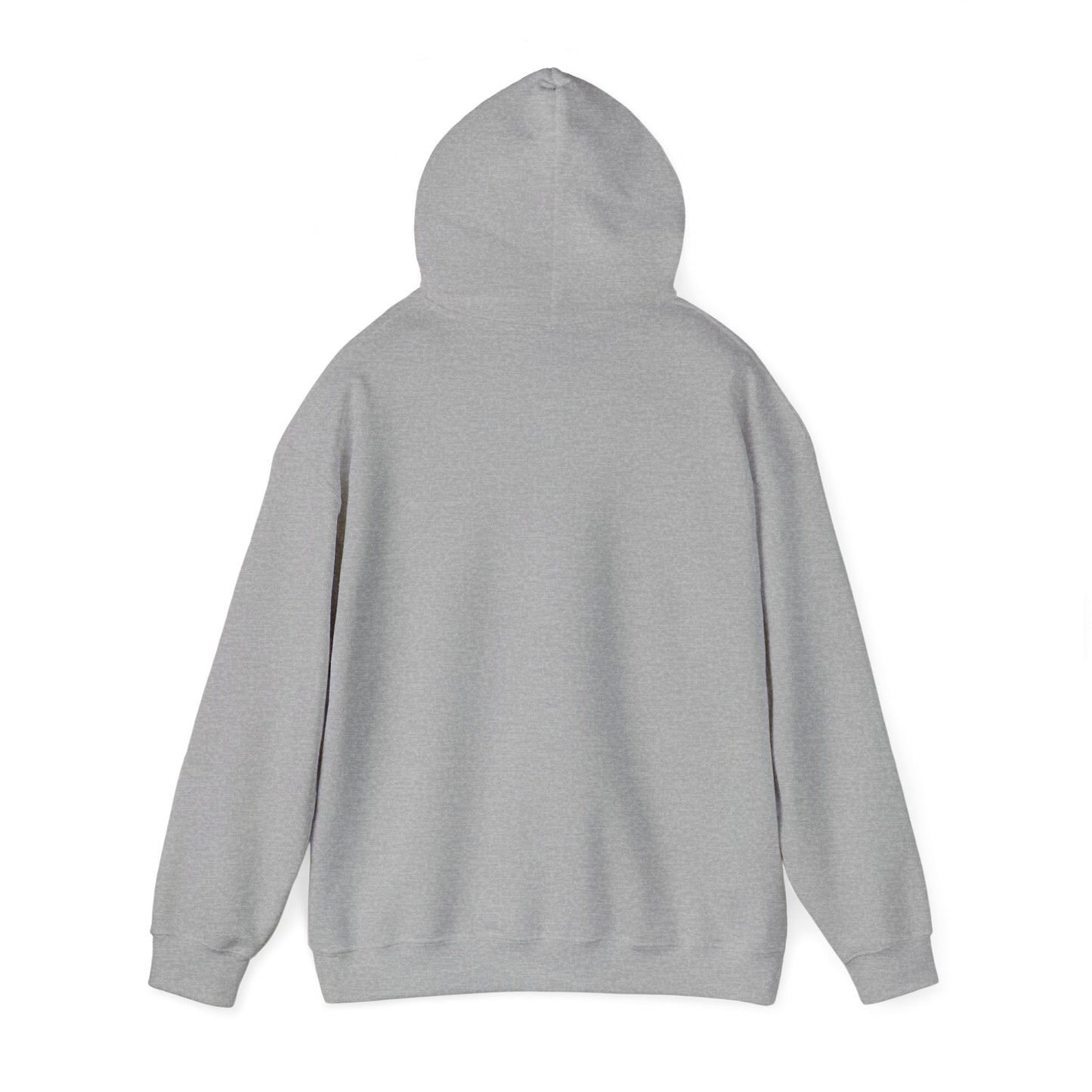 Unisex Hooded Sweatshirt - When Nothing Goes Right Go Left - AFFORDABLE MARKET