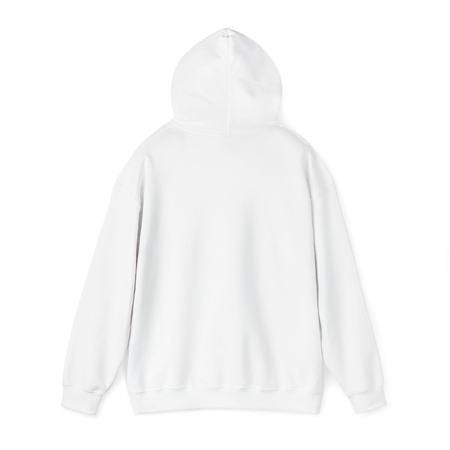 Unisex Hooded Sweatshirt - When Nothing Goes Right Go Left - AFFORDABLE MARKET