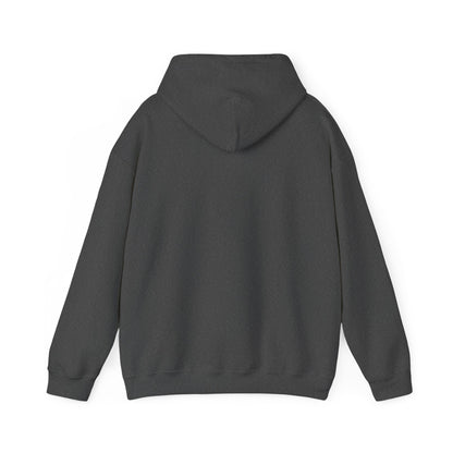 Unisex Hooded Sweatshirt - When Nothing Goes Right Go Left - AFFORDABLE MARKET