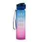 Tritan Water Bottle With Time Marker and Leakproof Cup