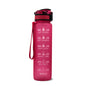 Tritan Water Bottle With Time Marker and Leakproof Cup