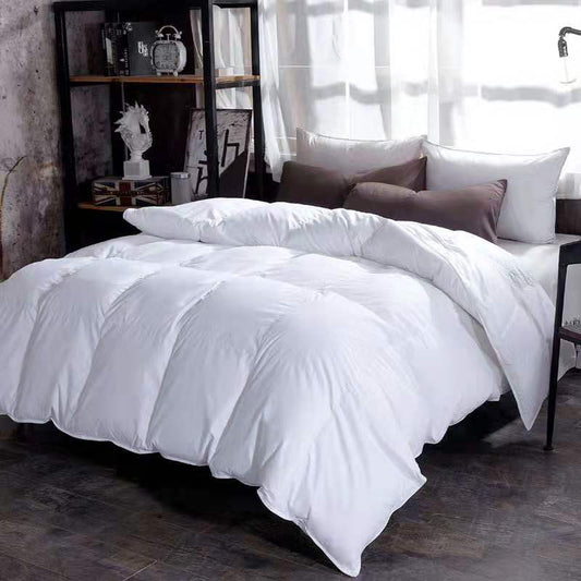 Down Duvet, Winter Duvet, Goose Down Duvet Core, Air Conditioner - AFFORDABLE MARKET