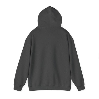 Unisex Hooded Sweatshirt - When Nothing Goes Right Go Left - AFFORDABLE MARKET