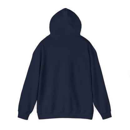 Unisex Hooded Sweatshirt - When Nothing Goes Right Go Left - AFFORDABLE MARKET