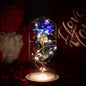 Galaxy Rose Eternal Lamp - AFFORDABLE MARKET