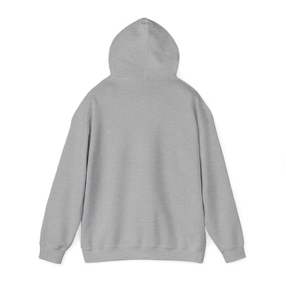 Unisex Hooded Sweatshirt - When Nothing Goes Right Go Left - AFFORDABLE MARKET