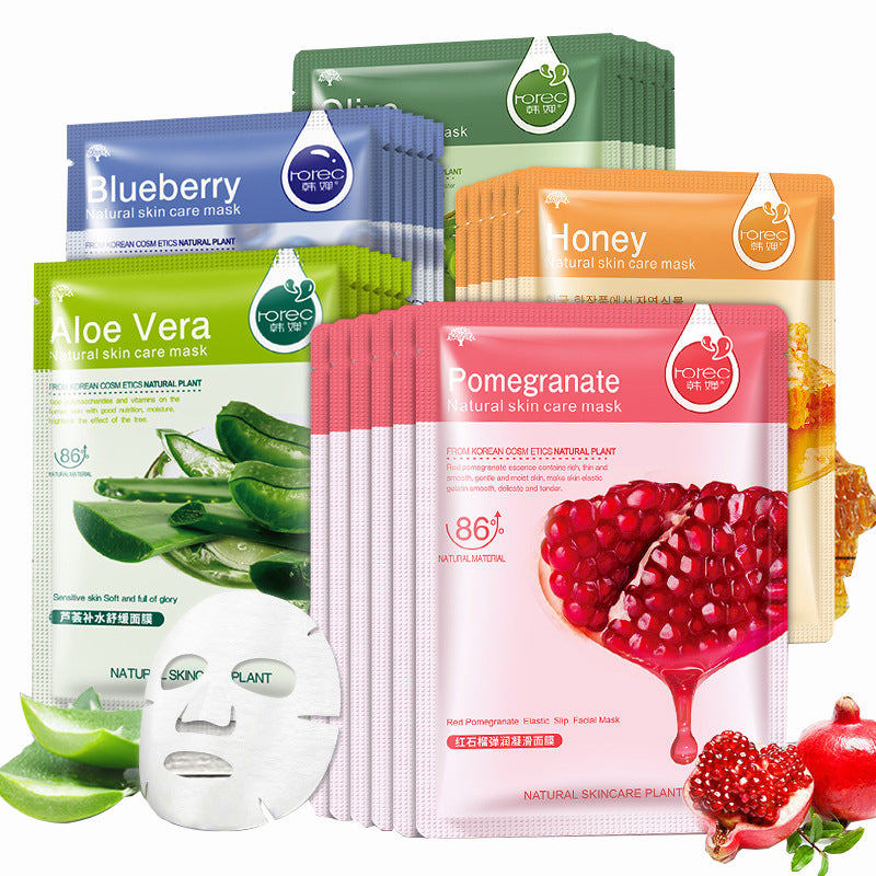 Blueberry Moisturizing Single Sheet Mask, Aloe Vera Plant Care, Moisturizing and Moisturizing Mask Set - AFFORDABLE MARKET